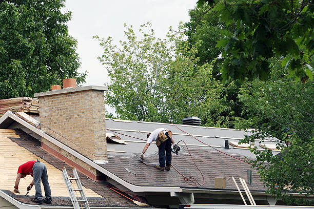 Best Roof Gutter Cleaning  in Ashburn, VA